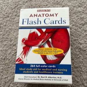 New, anatomy flash cards - perfect for the new nursing student